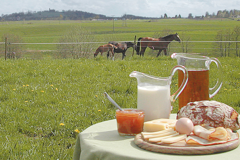 Vesperplatte auf Tisch, im Hintergrund Pferde auf der Weide